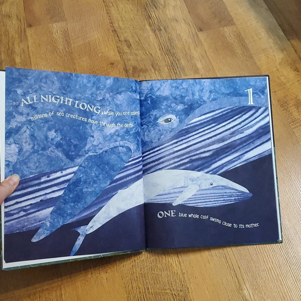 One Nighttime Sea Book‎ by Deborah Lee Rose Hardcover Counting Book